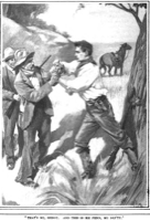 Thewomaninthecase-illustration1
