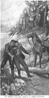 Warrantforwilmer-illustration2